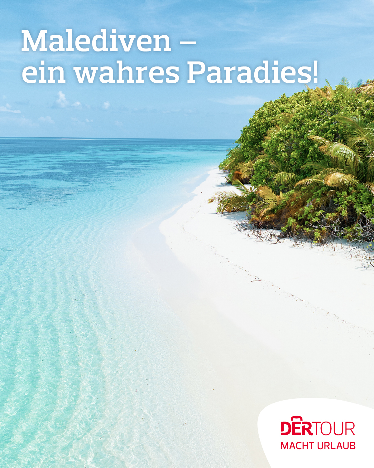 Malediven-Strand mit kristallklarem Wasser und grüner Vegetation, ideal für einen Traumurlaub.